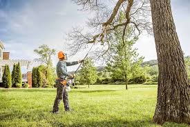 Best Leaf Removal  in Bangor, WI