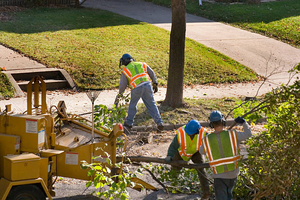 Best Commercial Tree Services  in Bangor, WI